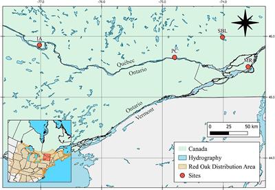 Factors affecting early red oak (Quercus rubra L.) regeneration near its northern distribution limit in Quebec